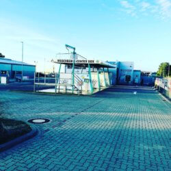 Waschbär Center Siek
